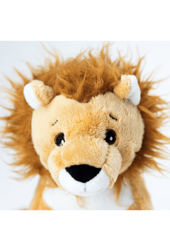 CalMac Lion